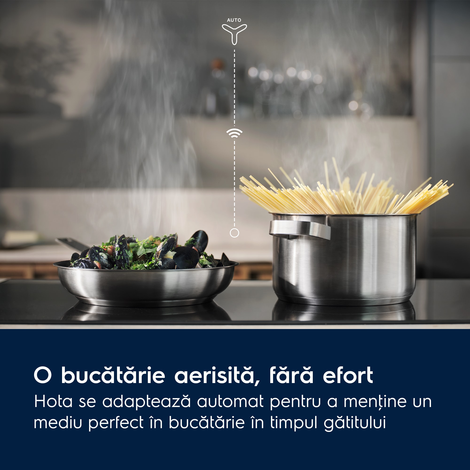 Electrolux - Plite cu inducţie - EIV654